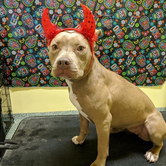 Meet your Posher, Jen - Picture 11 of 12